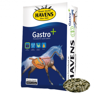 Havens Gastro+ 20KG-0